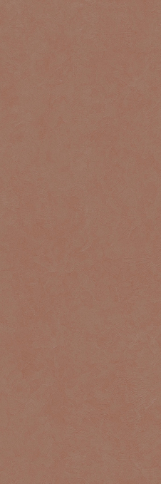 Керамогранит Laminam Gemini Acero 2+ 100x300, LAMF012158 Керамогранит Laminam Gemini Acero 2+ 100x300, LAMF012158