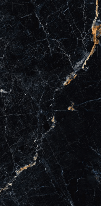 Керамогранит Artcer Eco Czar Black Poli 60x120