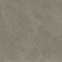 Керамогранит Italon Status Mocha Natural 80x80, 610010006207 Керамогранит Italon Status Mocha Natural 80x80, 610010006207