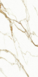 Керамогранит TC Vector Bianco Carrara Oro Llamarada 60x120 Керамогранит TC Vector Bianco Carrara Oro Llamarada 60x120