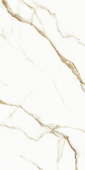 Керамогранит TC Vector Bianco Carrara Oro Llamarada 60x120 Керамогранит TC Vector Bianco Carrara Oro Llamarada 60x120