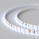 Светодиодная лента RT 2-5000 24V Cool 15K 5mm 2x (3528, 600 LED, LUX), Arlight, 015661, изображение 2 Светодиодная лента RT 2-5000 24V Cool 15K 5mm 2x (3528, 600 LED, LUX), Arlight, 015661, изображение 2