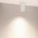 Светильник SP-SALT-R75-15W Day4000 (WH-BK, 40 deg, 230V), Arlight, 057318, изображение 6 Светильник SP-SALT-R75-15W Day4000 (WH-BK, 40 deg, 230V), Arlight, 057318, изображение 6