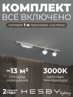 Комплект трековый Skylite №14, Hesby Lighting, HSBL_kompl_S014_NI1W3K