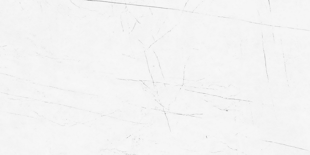 Керамогранит Estima Profi Vision VS01 60x120x10. непол. рект. Керамогранит Estima Profi Vision VS01 60x120x10. непол. рект.