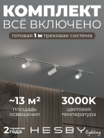 Комплект трековый Skylite №3, Hesby Lighting, HSBL_kompl_S003_VI1W3K