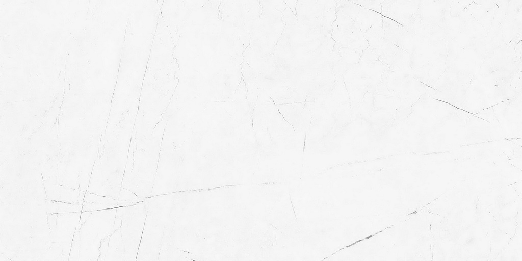 Керамогранит Estima Profi Vision VS01 60x120x10. полир. рект. Керамогранит Estima Profi Vision VS01 60x120x10. полир. рект.