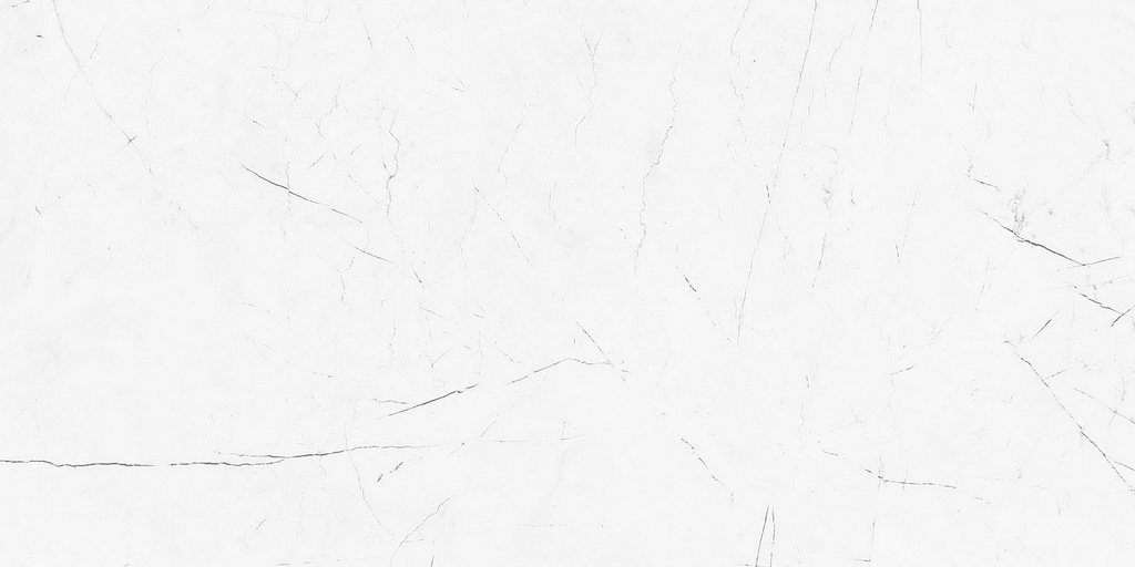 Керамогранит Estima Profi Vision VS01 60x120x10. полир. рект. Керамогранит Estima Profi Vision VS01 60x120x10. полир. рект.