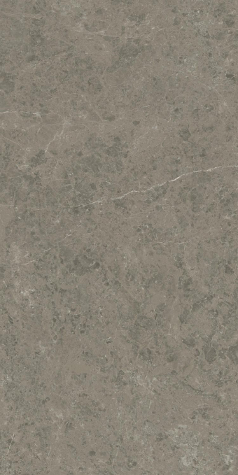 Керамогранит Atlas Concorde Marvel Meraviglia Grigio Elegante 120x240, AJIA