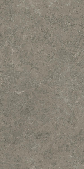 Керамогранит Atlas Concorde Marvel Meraviglia Grigio Elegante 120x240, AJIA