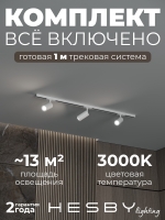 Комплект трековый Skylite №3, Hesby Lighting, HSBL_kompl_S003_NI1W3K