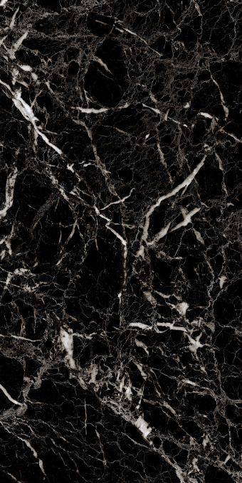 Керамогранит Artcer Eco Luminia Black Poli 60x120