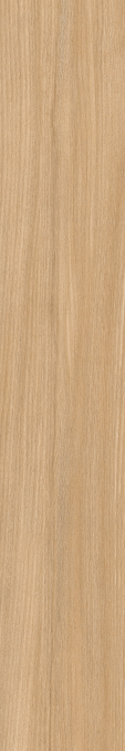 Керамогранит Keraben Poeme Roble Matt 20x120 Керамогранит Keraben Poeme Roble Matt 20x120