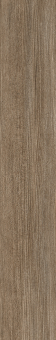 Керамогранит Keraben Poeme Siena Matt 20x120 Керамогранит Keraben Poeme Siena Matt 20x120