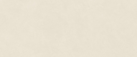 Настенная плитка Atlas Concorde Boost Natural Pro Salt 50x120, AQ6N