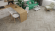 Каменный ламинат SPC Alpine Floor Chevron Alpine Дуб Фантазия, ECO 18-1 MC