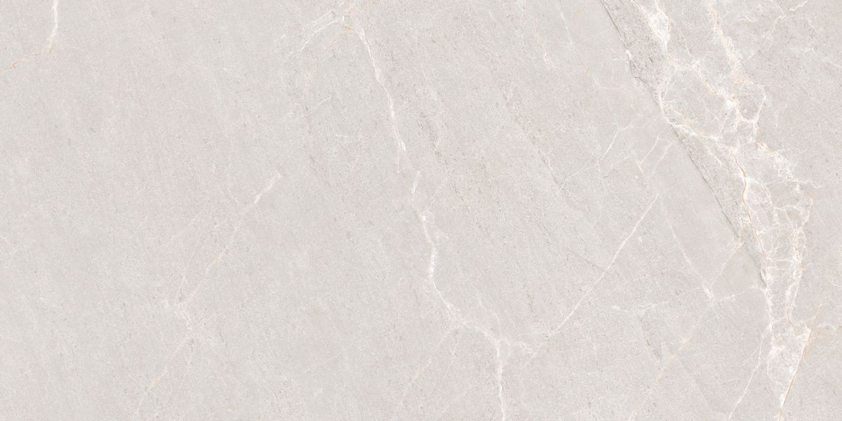 Керамогранит Neodom Stone Persian Grey Matt 60x120, N20552 Керамогранит Neodom Stone Persian Grey Matt 60x120, N20552