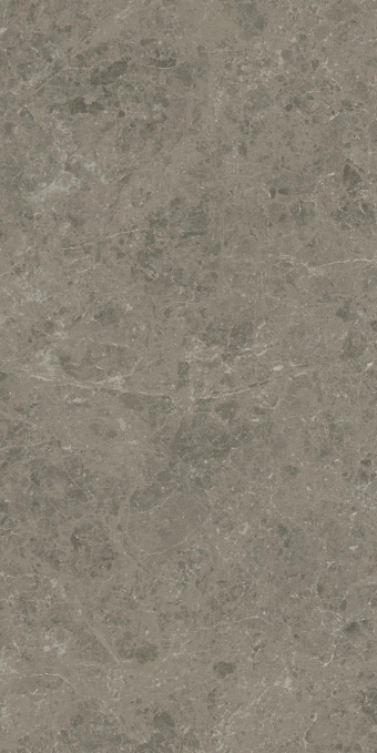 Керамогранит Atlas Concorde Marvel Meraviglia Grigio Elegante 60x120, AJIU Керамогранит Atlas Concorde Marvel Meraviglia Grigio Elegante 60x120, AJIU