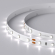 Светодиодная лента RT 2-5000 24V White6000 (3528, 300 LED, LUX), Arlight, 011504(B), изображение 3 Светодиодная лента RT 2-5000 24V White6000 (3528, 300 LED, LUX), Arlight, 011504(B), изображение 3