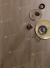Ламинат Homflor by Alpine Floor Patio Olbia Oak, 560
