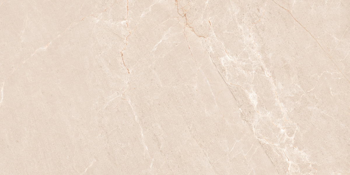 Керамогранит Neodom Stone Persian Beige Matt 60x120, N20554 Керамогранит Neodom Stone Persian Beige Matt 60x120, N20554