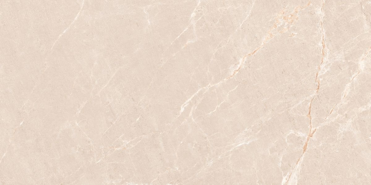 Керамогранит Neodom Stone Persian Beige Matt 60x120, N20554 Керамогранит Neodom Stone Persian Beige Matt 60x120, N20554