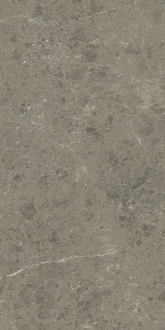 Керамогранит Atlas Concorde Marvel Meraviglia Grigio Elegante 60x120, AJHW