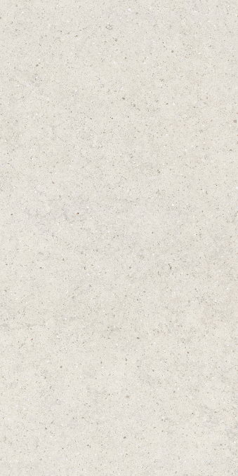 Керамогранит Italon Forum Stone Polar Ret 60x120, 610010004166 Керамогранит Italon Forum Stone Polar Ret 60x120, 610010004166