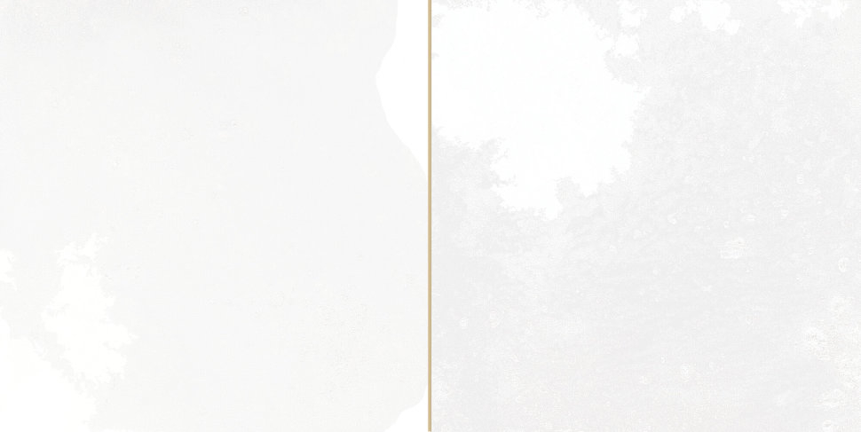 Настенная плитка Peronda Fs Tradition Square White 20x40, 30896 Настенная плитка Peronda Fs Tradition Square White 20x40, 30896