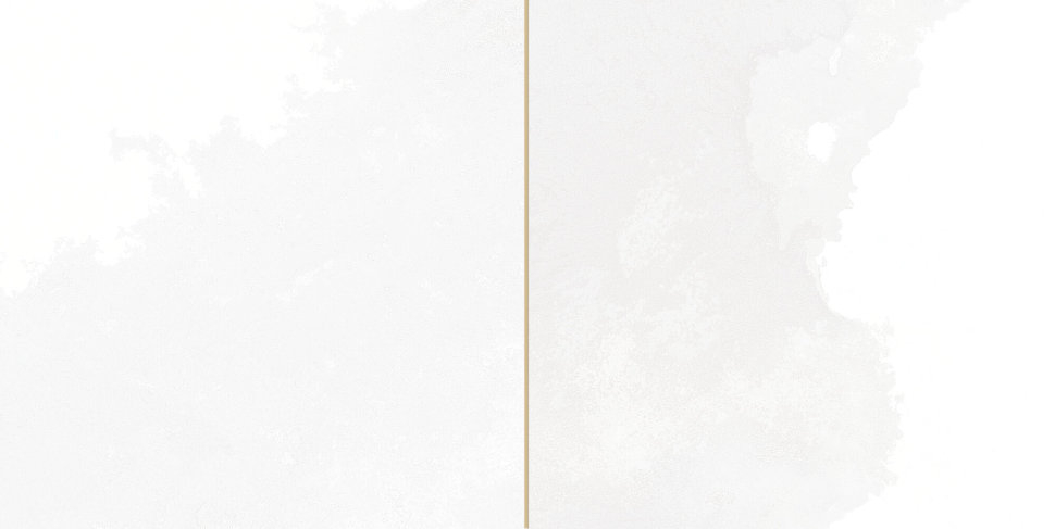 Настенная плитка Peronda Fs Tradition Square White 20x40, 30896 Настенная плитка Peronda Fs Tradition Square White 20x40, 30896