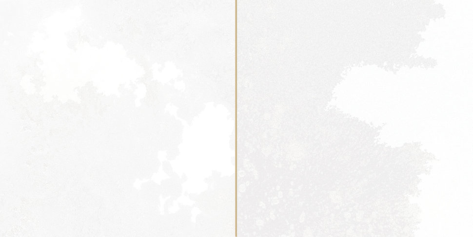 Настенная плитка Peronda Fs Tradition Square White 20x40, 30896 Настенная плитка Peronda Fs Tradition Square White 20x40, 30896