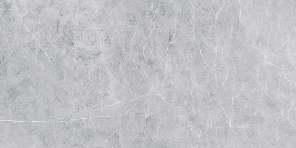 Керамогранит Estima Profi Vision VS02 60x120x10. непол. рект. Керамогранит Estima Profi Vision VS02 60x120x10. непол. рект.