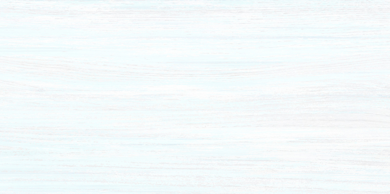 Плитка настенная Alma Ceramica North 24.9x50, TWU09NRT006 Плитка настенная Alma Ceramica North 24.9x50, TWU09NRT006