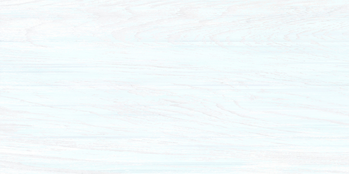 Плитка настенная Alma Ceramica North 24.9x50, TWU09NRT006 Плитка настенная Alma Ceramica North 24.9x50, TWU09NRT006