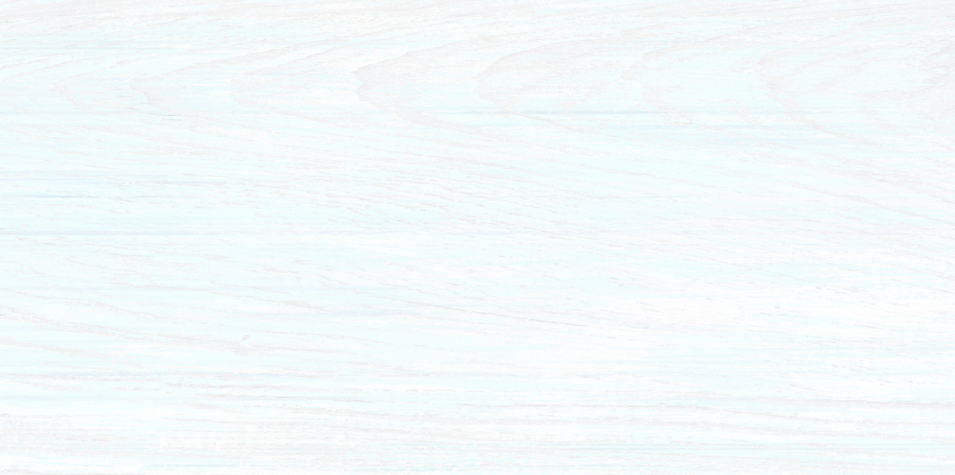 Плитка настенная Alma Ceramica North 24.9x50, TWU09NRT006 Плитка настенная Alma Ceramica North 24.9x50, TWU09NRT006