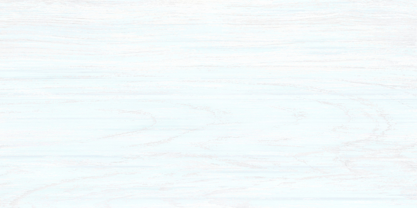Плитка настенная Alma Ceramica North 24.9x50, TWU09NRT006 Плитка настенная Alma Ceramica North 24.9x50, TWU09NRT006