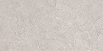 Керамогранит Neodom Stone Aristo Grey Tm 60x120, N20555 Керамогранит Neodom Stone Aristo Grey Tm 60x120, N20555