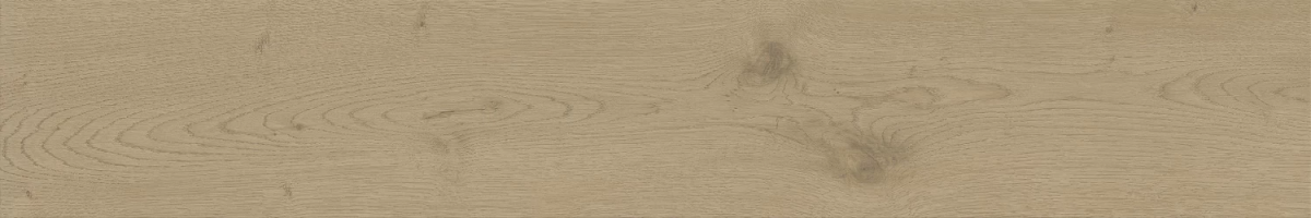 Керамогранит Atlas Concorde Entice Ash Oak Natural 20x120, A840 Керамогранит Atlas Concorde Entice Ash Oak Natural 20x120, A840