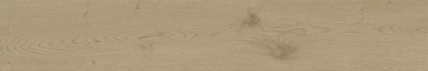 Керамогранит Atlas Concorde Entice Ash Oak Natural 20x120, A840 Керамогранит Atlas Concorde Entice Ash Oak Natural 20x120, A840