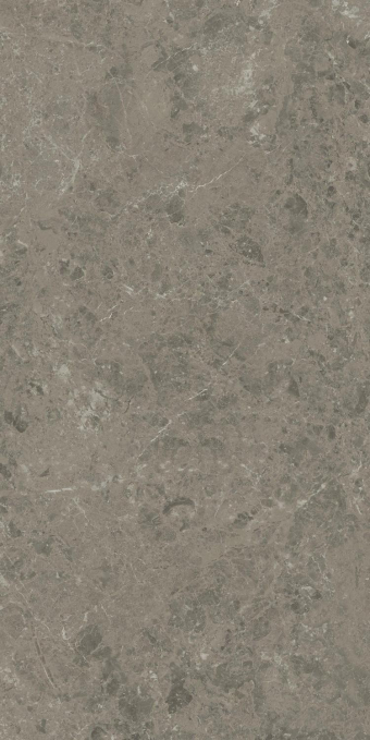 Керамогранит Atlas Concorde Marvel Meraviglia Grigio Elegante 60x120, AI8R Керамогранит Atlas Concorde Marvel Meraviglia Grigio Elegante 60x120, AI8R