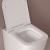 Сиденье для унитаза Iddis Optima Home 005DPSEi31
