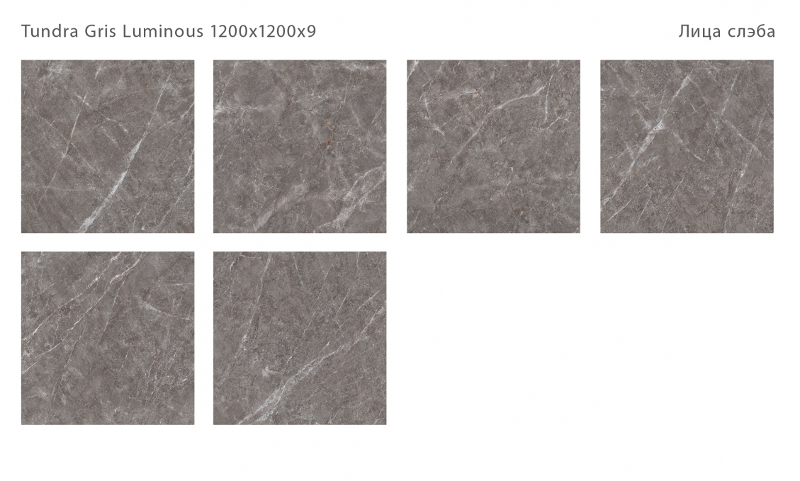 Керамический слэб StaroSlabs Double Polished Tundra Gris Luminous 120x120