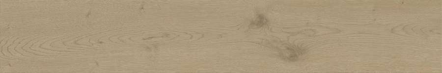 Керамогранит Atlas Concorde Entice Ash Oak Natural 20x120, A845