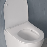 Сиденье для унитаза Iddis Optima Home 006DPSEi31 Сиденье для унитаза Iddis Optima Home 006DPSEi31