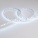Светодиодная лента RT 2-5000 24V RGB 8mm (3838, 120 LED/m, LUX), Arlight, 026832, изображение 6 Светодиодная лента RT 2-5000 24V RGB 8mm (3838, 120 LED/m, LUX), Arlight, 026832, изображение 6
