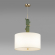 Люстра E27 3*60W CACTUS MODERN ODL_EX24 099 ODEON LIGHT 5425/3, фото на цветном фоне 1 Люстра E27 3*60W CACTUS MODERN ODL_EX24 099 ODEON LIGHT 5425/3, фото на цветном фоне 1