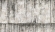 Обои Marburg Natural Opulence, 33236 Обои Marburg Natural Opulence, 33236