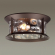 Ландшафтный потолочный светильник E27 2*60W IP44 MAVRET NATURE ODL22 703 ODEON LIGHT 4961/2C, фото на цветном фоне 1 Ландшафтный потолочный светильник E27 2*60W IP44 MAVRET NATURE ODL22 703 ODEON LIGHT 4961/2C, фото на цветном фоне 1