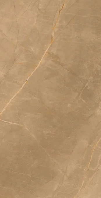 Керамогранит Artcer Eco Royalish Brown Poli 60x120 Керамогранит Artcer Eco Royalish Brown Poli 60x120