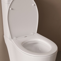 Сиденье для унитаза Iddis Optima Home 008PPSEi31 Сиденье для унитаза Iddis Optima Home 008PPSEi31